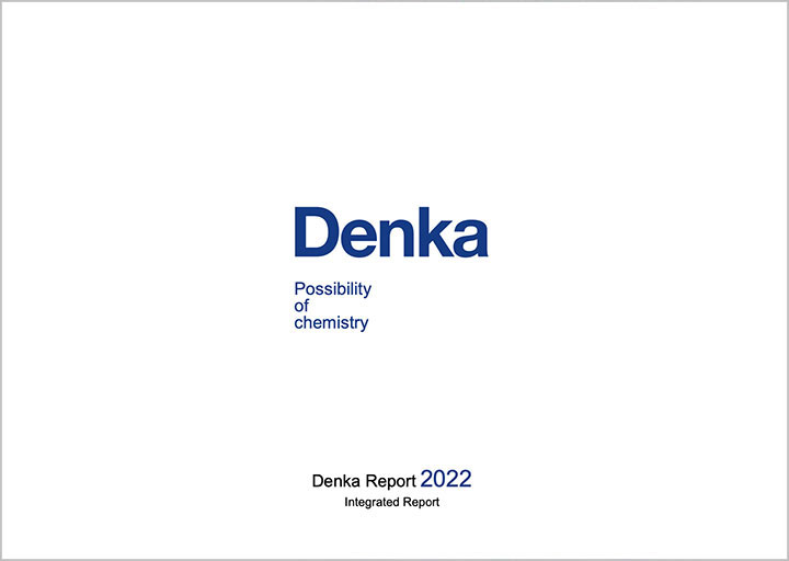 Denka Report 2022