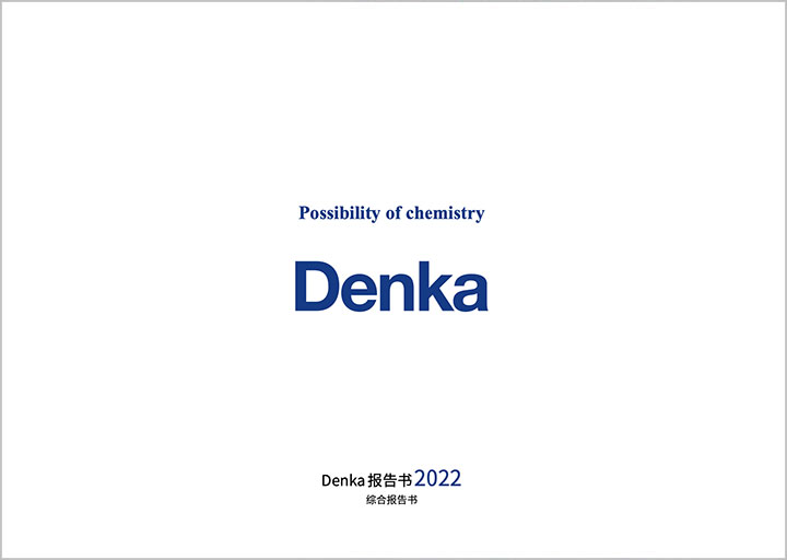 Denka Report 2022
