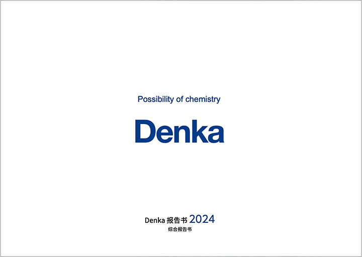 Denka Report 2024