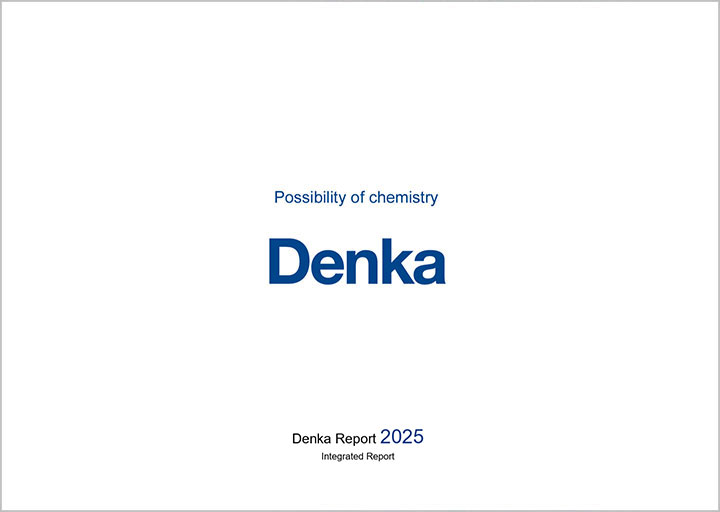 Denka Report 2025