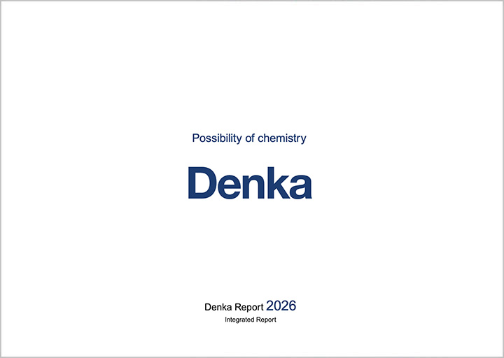 Denka Report 2026