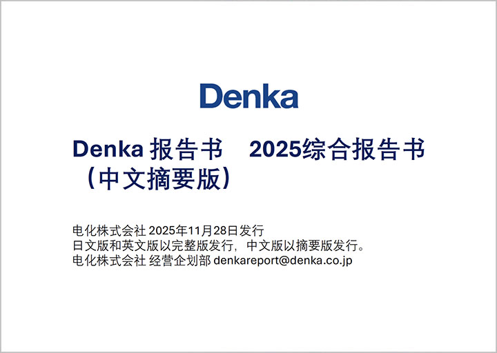 Denka Report 2025