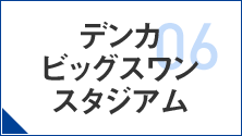 06 - デンカビッグスワンスタジアム