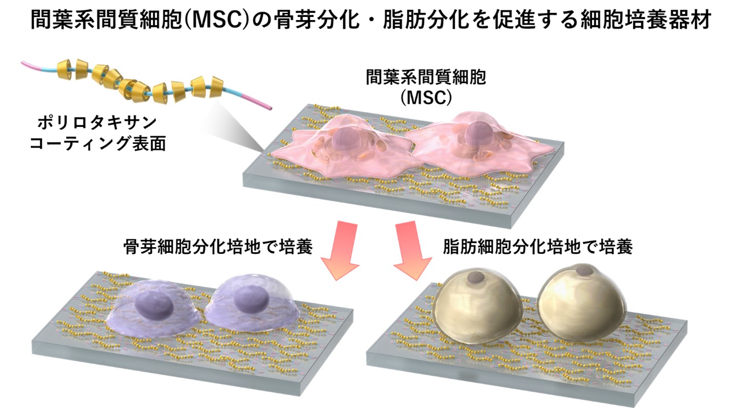 第25回日本再生医療学会総会」における細胞培養器材展示のお知らせ
